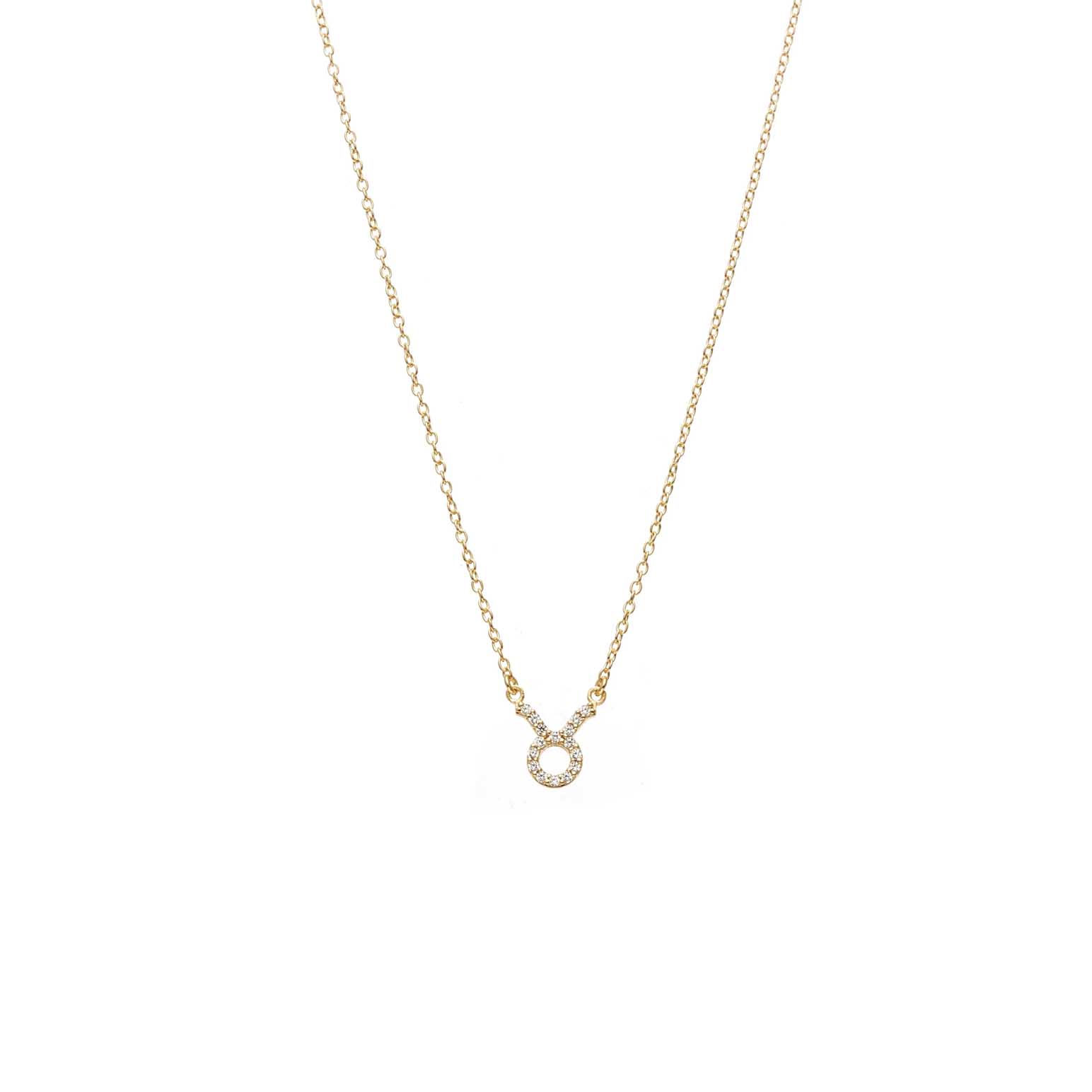 Silk & Steel Taurus Necklace